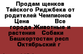 Продам щенков Тайского Риджбека от родителей Чемпионов › Цена ­ 30 000 - Все города Животные и растения » Собаки   . Башкортостан респ.,Октябрьский г.
